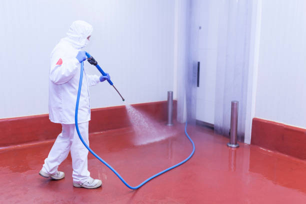 Boat and Dock Cleaning in Newton, AL